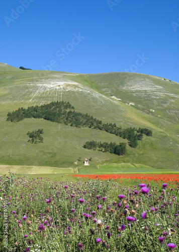 Italia a Castelluccio