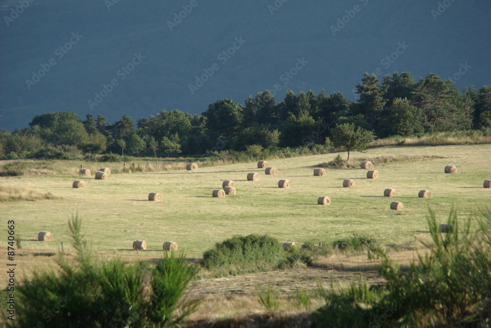 Ballots de paille,Massif central