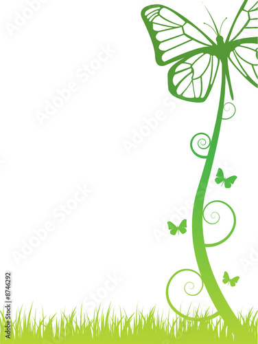 Ecology background