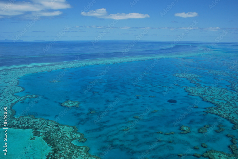 Fototapeta premium Great Barrier Reef