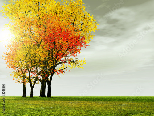 Autumn scenery