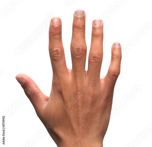 Fingers: five