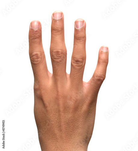 Fingers: four
