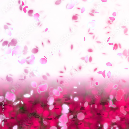 Cherry blossom petals swirling in the wind