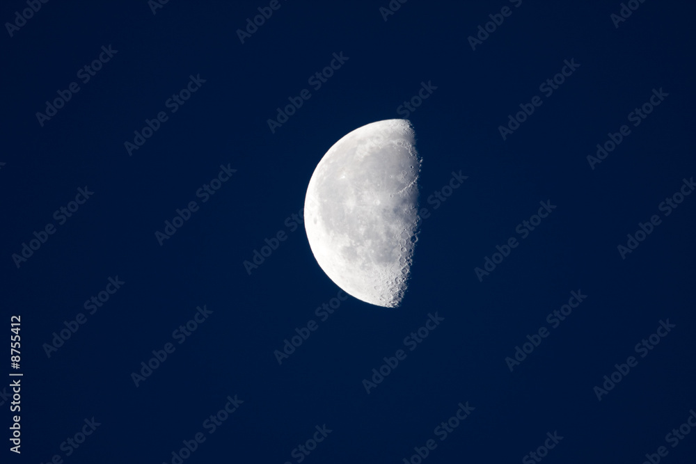 half moon half moon
