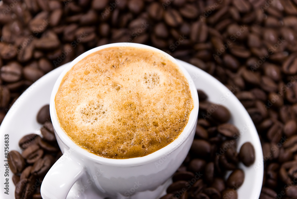 espresso espresso