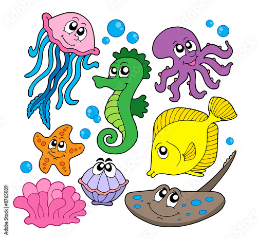 Marine fish collection