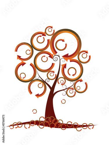 Ecology fall/autumn tree