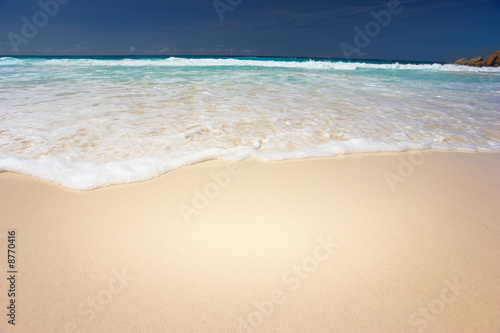 sandy beach closeup