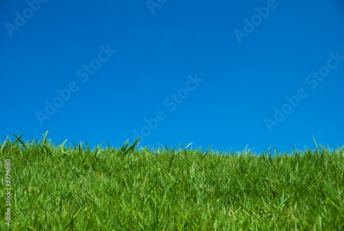 澄んだ空と草原