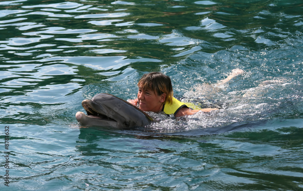 girl swimming with dolphin