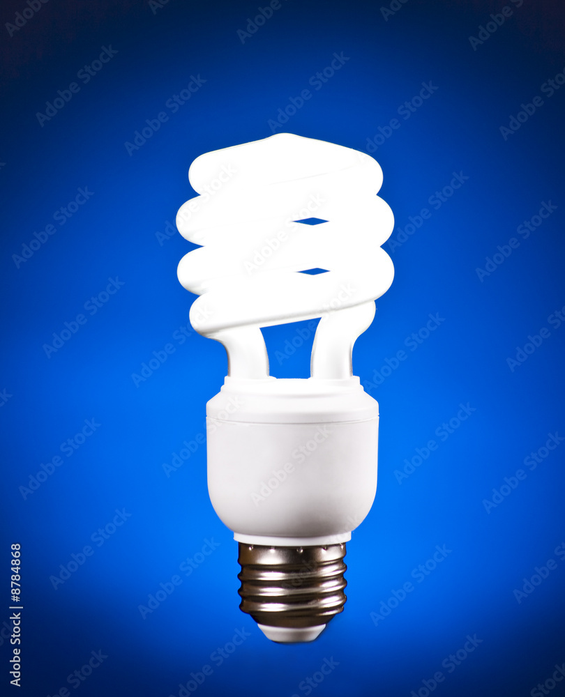 Compact Fluorescent Light Bulb Compact Fluorescent Light Bulb
