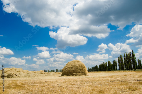 two stack of straw on a background blue sky with clouds photo