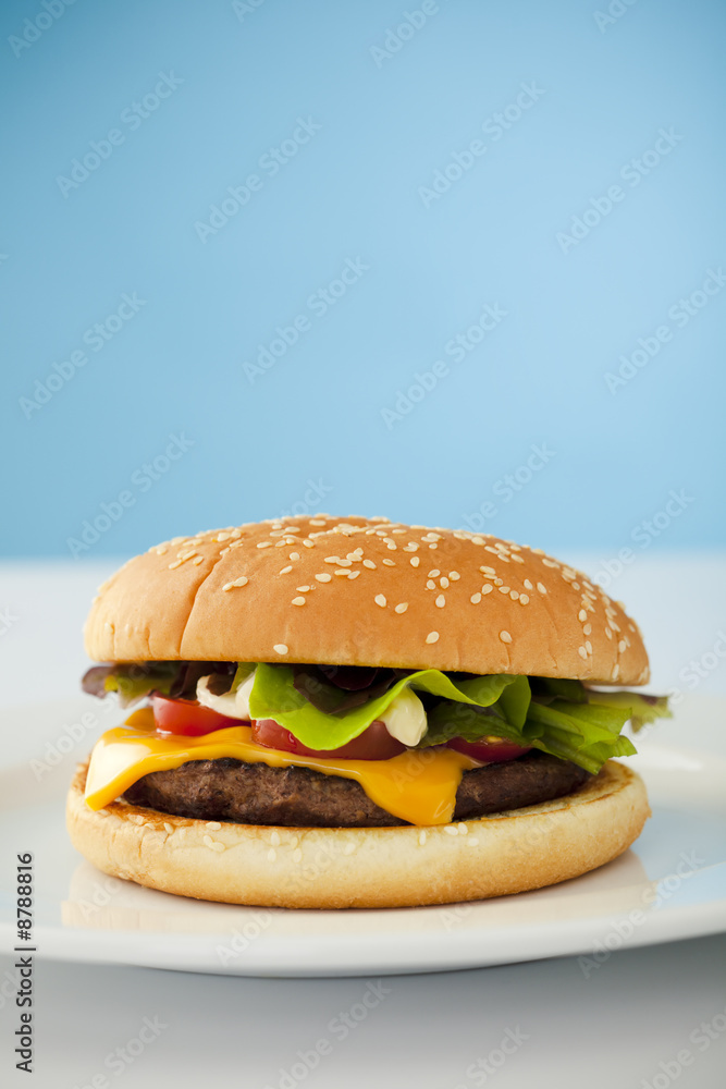 Homemade cheese burger on the plate over blue background Homemade cheese burger on the plate over blue background