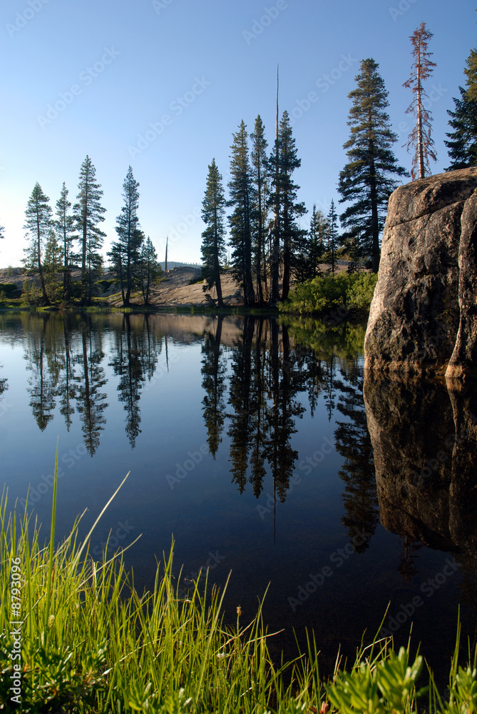 Obraz premium Trees and Granite Reflected in Sierra Nevada Wilderness Lake