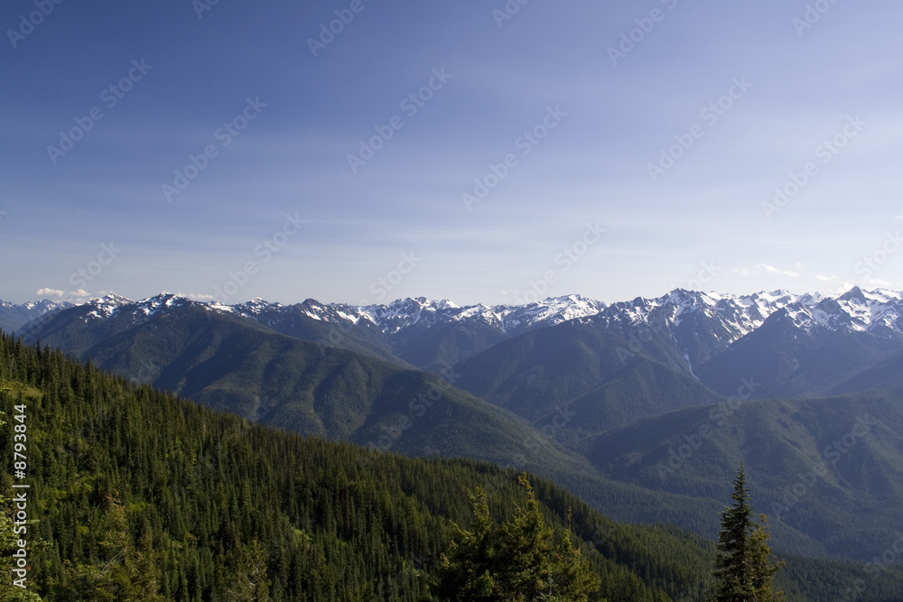 The Olympic Mountains on a summer day from Hurricane Ridge