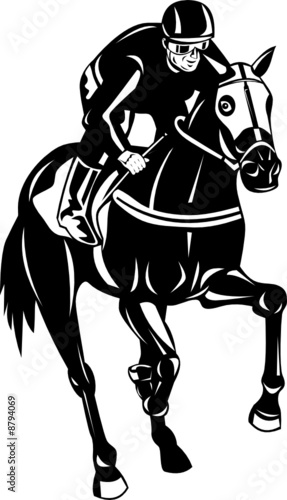 Horse and rider