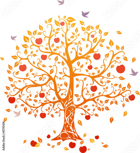 Autumn tree