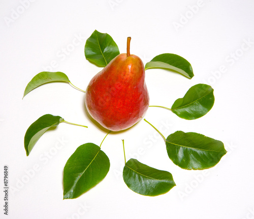 Pear