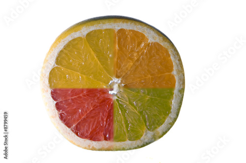 Merged citrus fruits