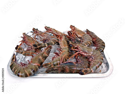 Big Sea Tiger Prawns Tray Full