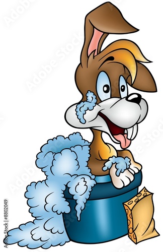Rabbit and Bathing - smilin...