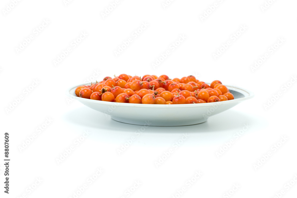 Saucer with sea buckthorn berries isolated on the white Saucer with sea buckthorn berries isolated on the white