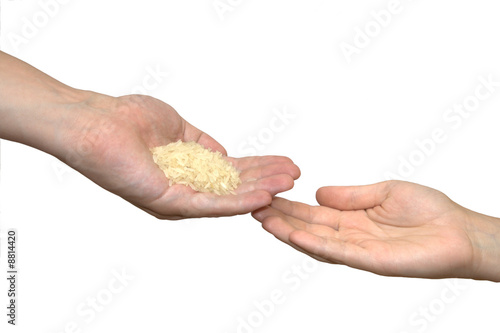 Hand giving rice to another hand isolated