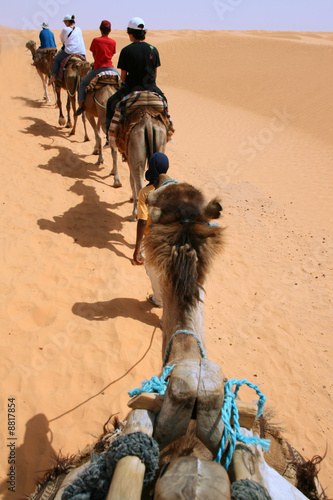 caravane dans le désert photo