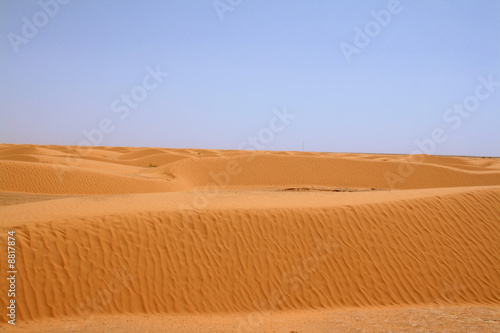 paysage désert