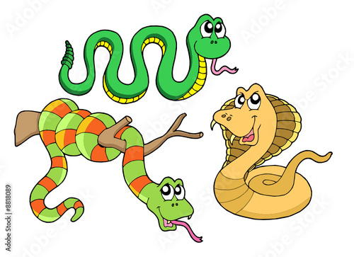 Cute snakes collection