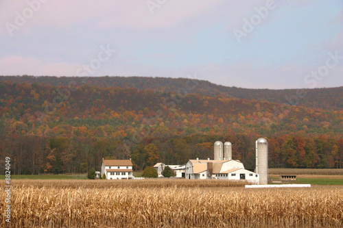 Amish Farm In Pennsylvania