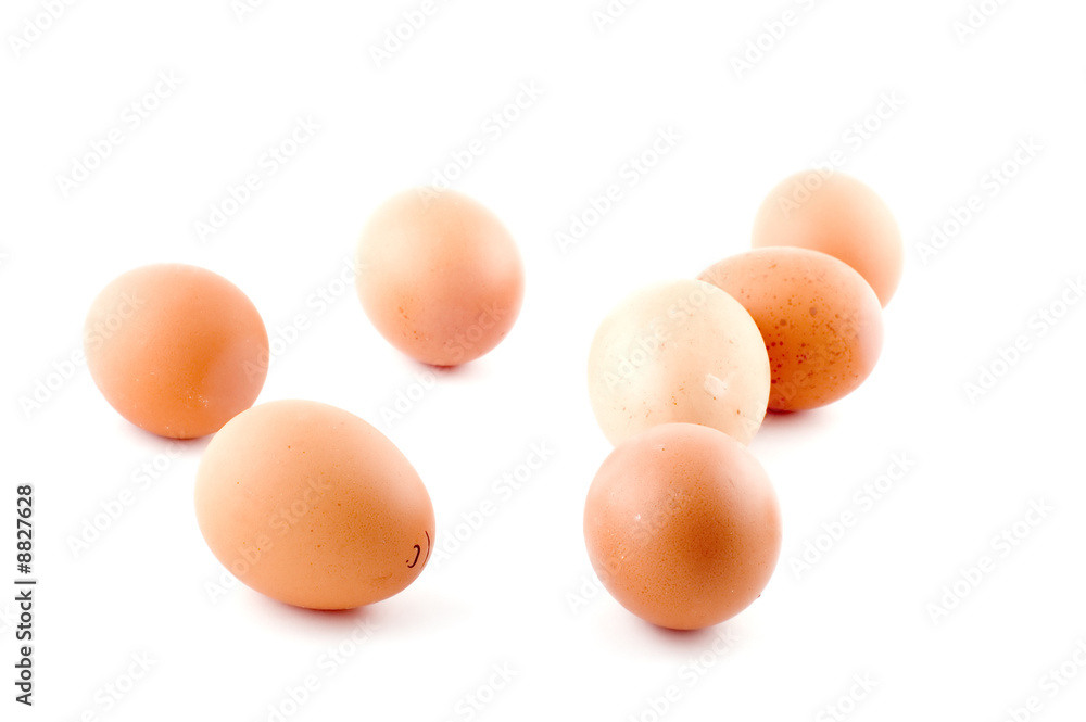 object on white - food brown egg object on white - food brown egg