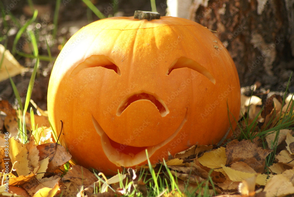 happy pumpkin happy pumpkin
