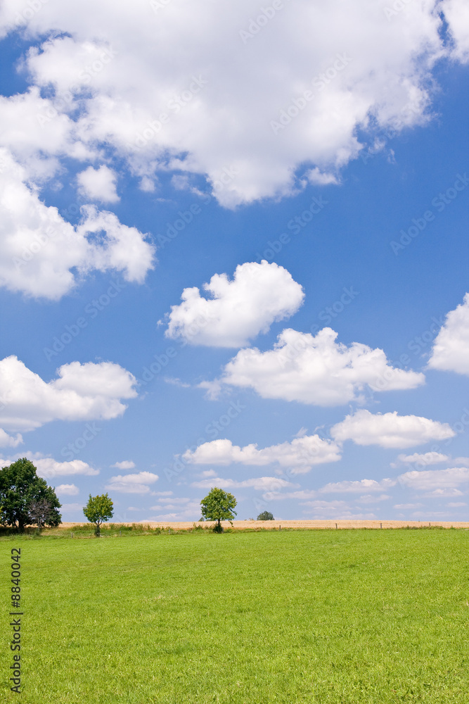 green farm land with a blue sky