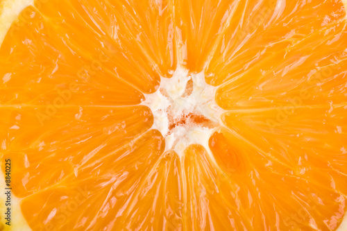 Fresh Orange slice close up
