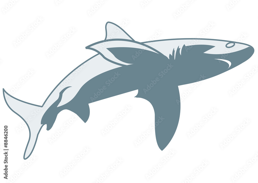Fototapeta premium Illustration requin