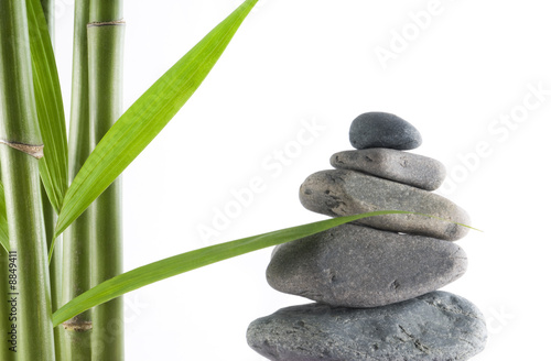 tranquil view of bamboo with a stack of stones