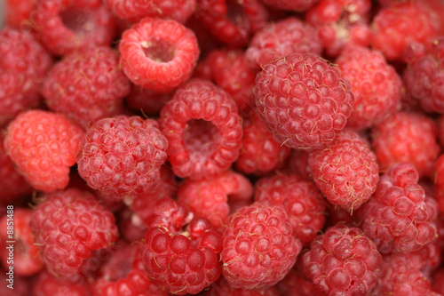 fresh raspberries background