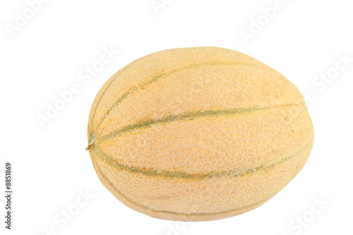 Melon isolated on white background