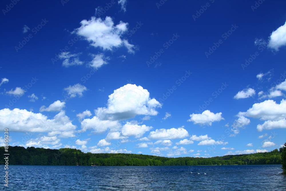beautiful lakeside with tree line, cloudy sky above