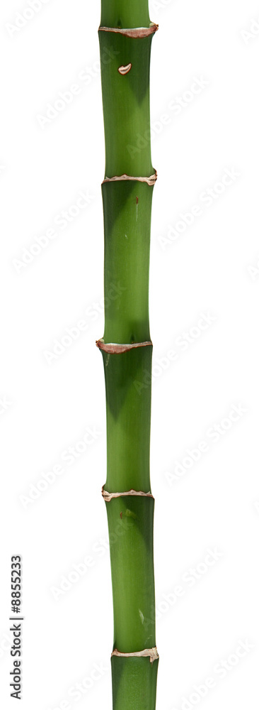 Naklejka premium long bamboo stick isolated on white background
