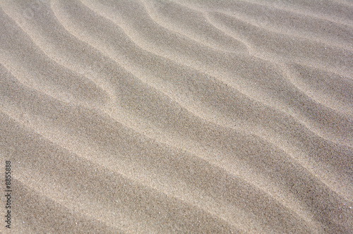 a photo of sand in the beach with dunes © Gelpi