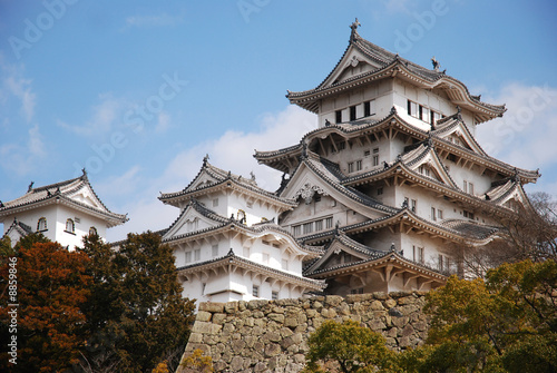 Japanese castle #8859846