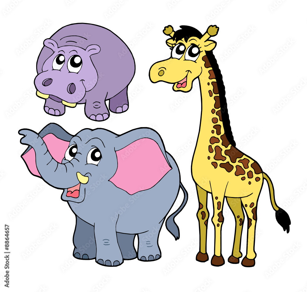 Obraz premium African animals collection