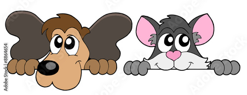 Curious cat and dog