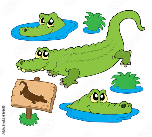 Crocodile collection
