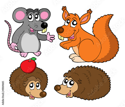 Small animals collection