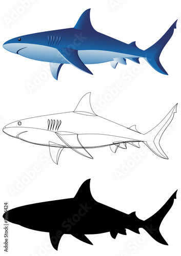 Sharks - 3 images isolated on white