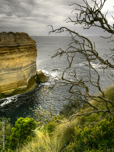 Foto Wild Coastline